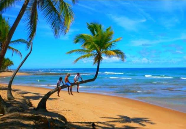 Indulge In The Beauty Of Kerala And Goa By Availing Tour Packages