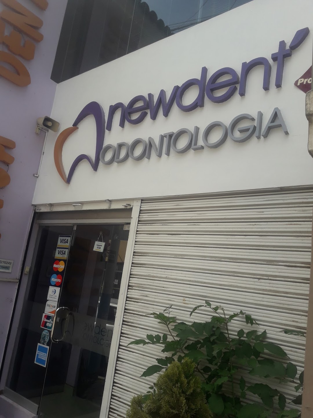 newdent