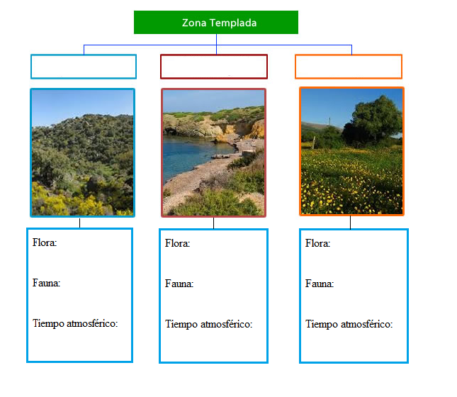 zona templada.png