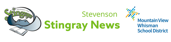 stingray banner stingray banner