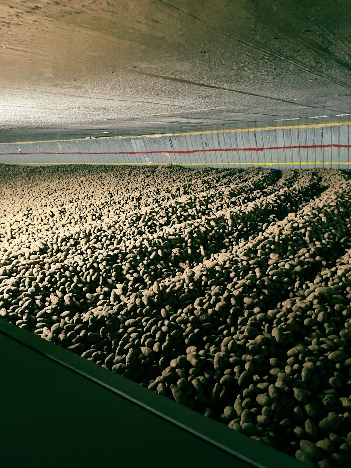more washington state potatoes in a silo