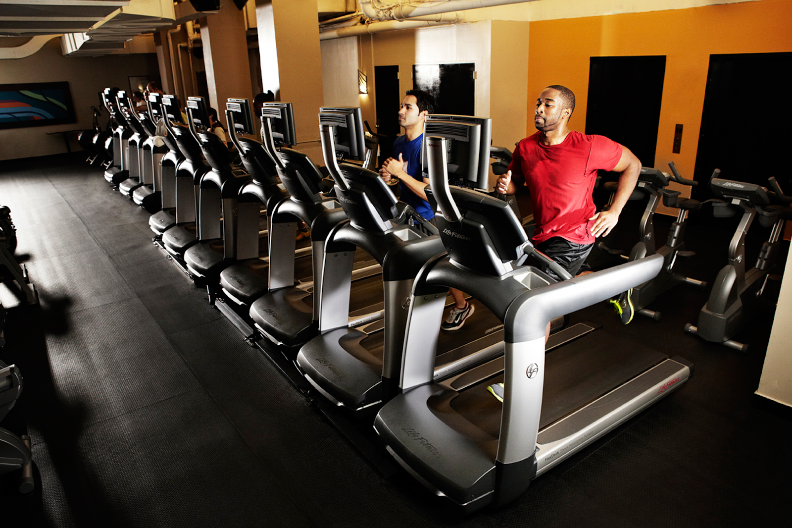 The Best Gyms and Health Clubs in Canada – The Varsity
