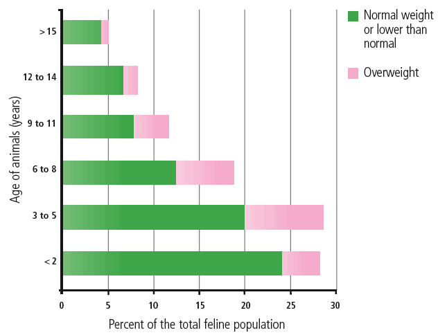 Prevalence of feline obesity according to age
