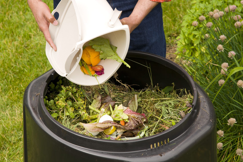 Composting 101: Home Composting is Easy! – RefillMyBottle