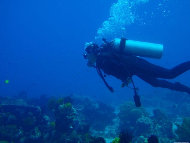 Scuba Diving in Goa with West Coast Adventure - Cost and Training