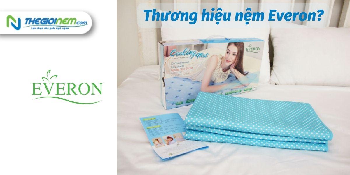 Đại lý nệm Everon chính hãng giá rẻ Bình Dương | Thegioinem.com