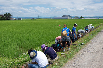 用水路で足を洗います「思ったより冷たいね」