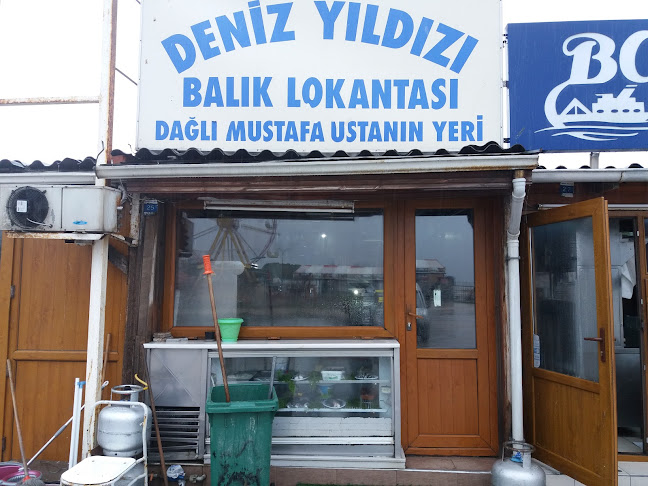 Deniz Yıldızı - Bursa