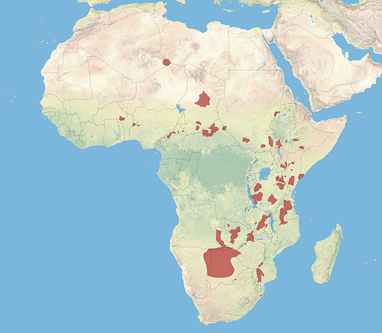 Range of African Painted Dog