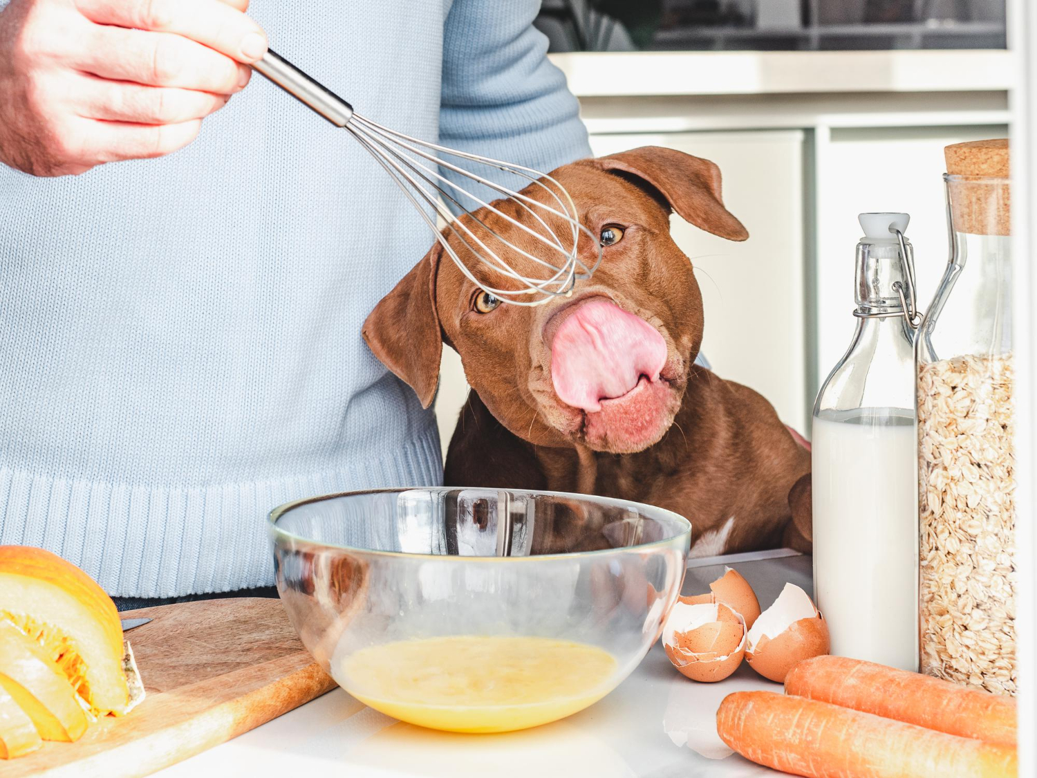 what is vitamin a good for in dogs