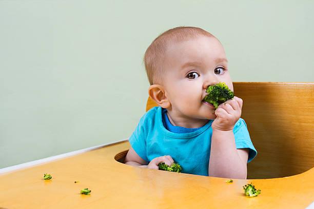 Beautiful Baby Eating Broccoli Stock Photo - Download Image Now - Eating,  Baby - Human Age, Broccoli - iStock