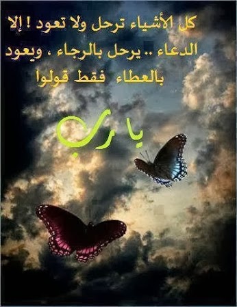 معلومات رائعة LkyBazLlGnJxMup3IOGbffpHkLcsYorF5TPGrW4mQ_8oxImUMf2jJlJKFRvwcBeYwOqO9os8IHUUvelgaXSWvPrOdNCQFgRwdVgId6AMrWEivPLp44lh40yVHQ=s600