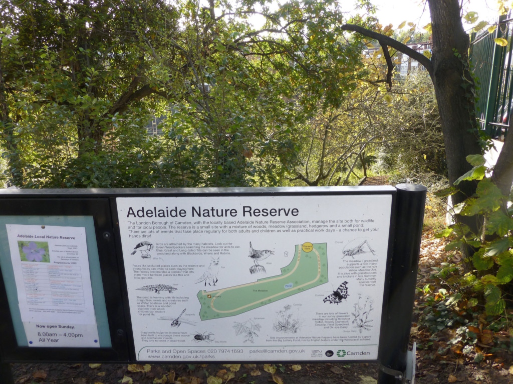 North London Camden Natural Reserve