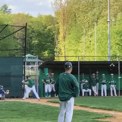 High school sophomore robs home run with amazing tumbling catch over fence  National News - Bally Sports