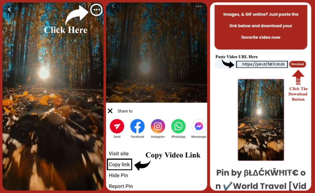 Best pinterest video downloader