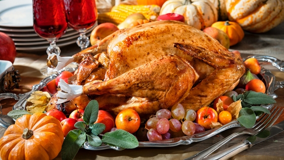 a Thanksgiving turkey