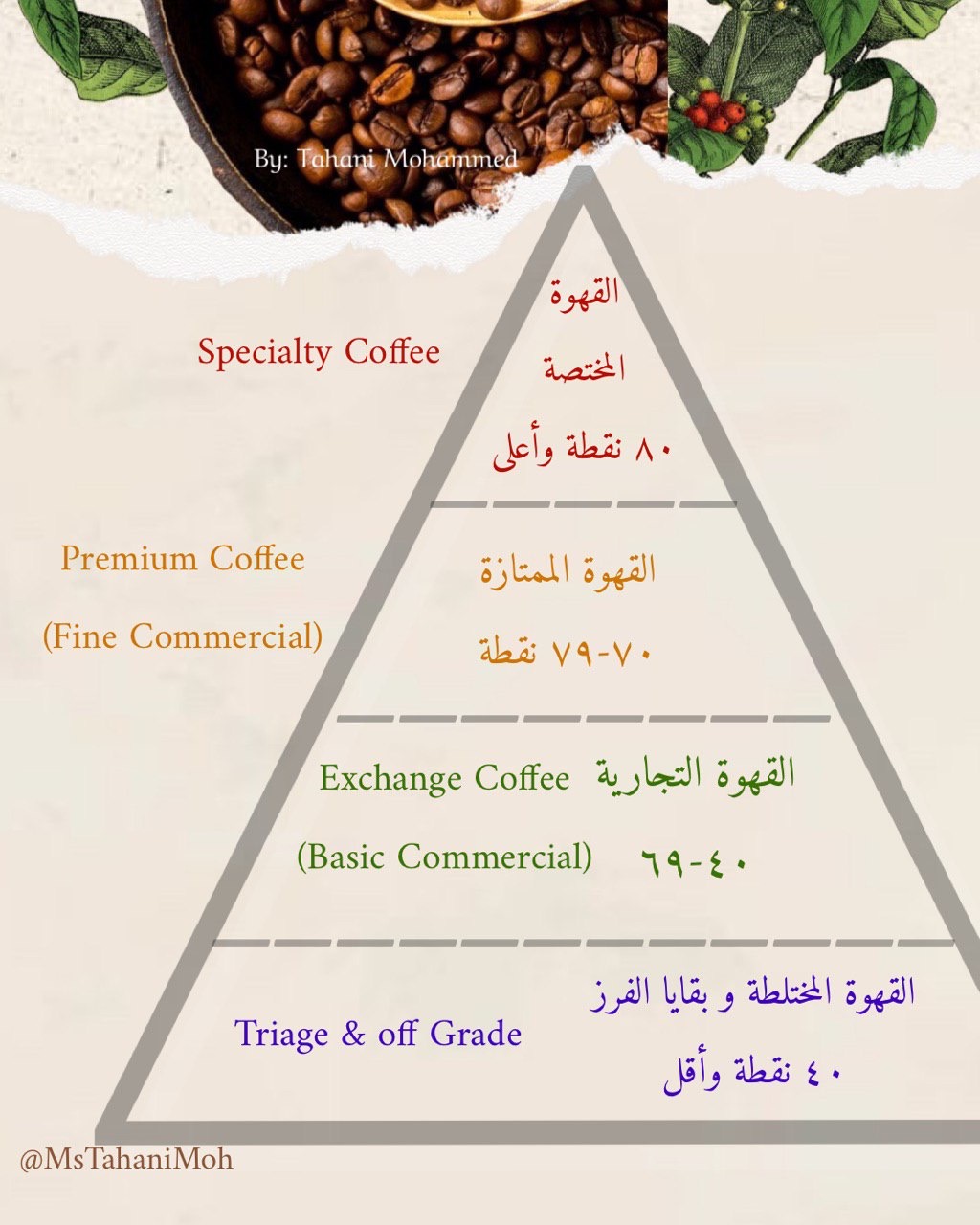 طريقة البدء بتحميص القهوة - Magic Beans Saudi Arabia