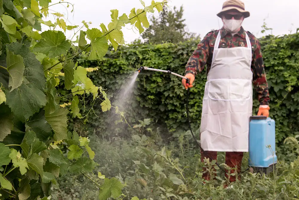 When is the best time to use Roundup