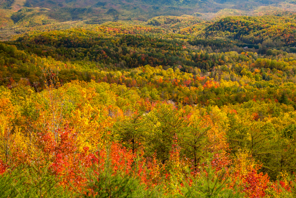 Where to See Fall Colours in Ontario