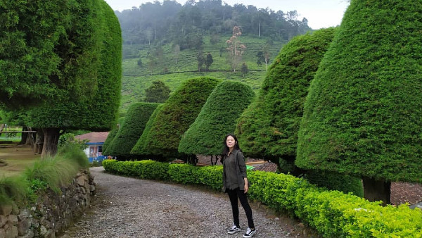 Bukit Jamur Rancabolang