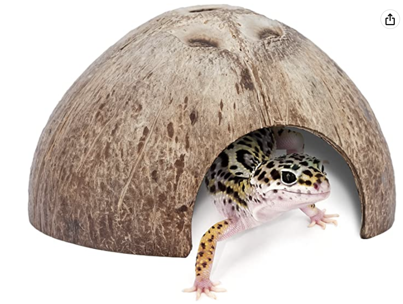 10 Leopard Gecko Hides For Your Pet (Revealed) - Gecko Keeper