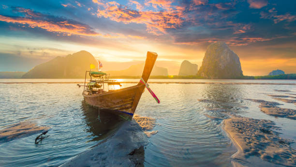 What to do in Thailand and which cities to go to? See what's unmissable