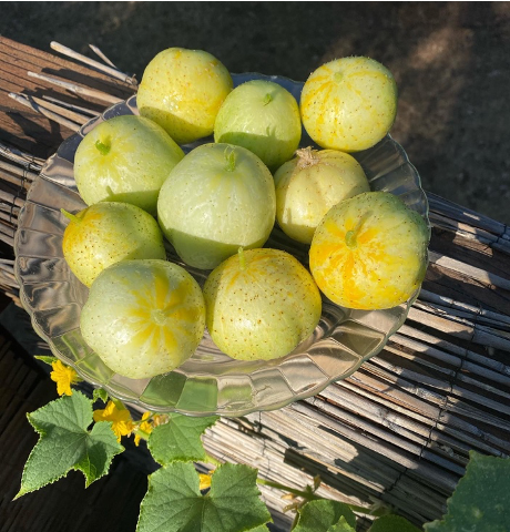 Lemon Cucumbers are small and round, usually a pale yellow or light green color, with thin, delicate bumps covering the skin.