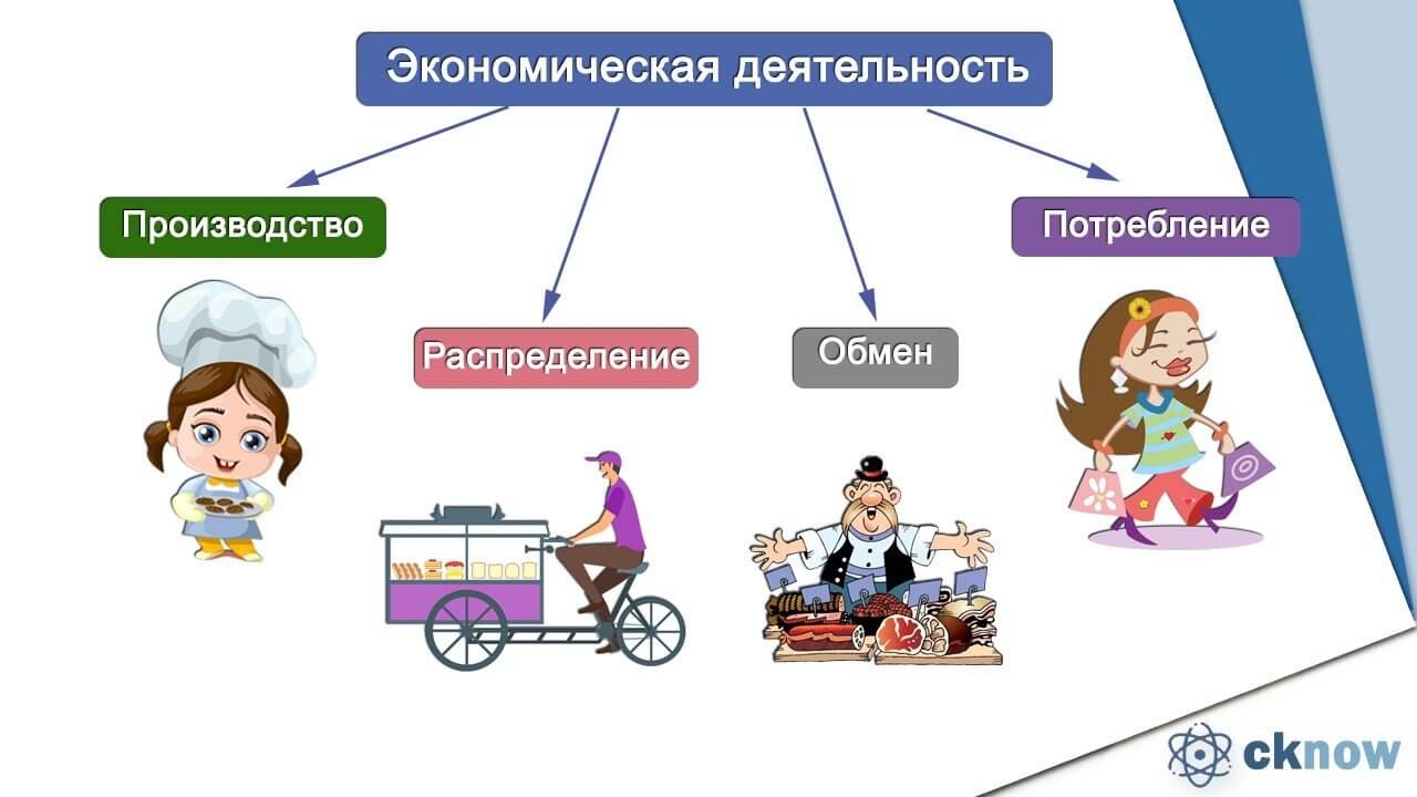 Какой пример иллюстрирует экономическую деятельность