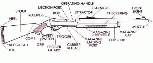 labelled shotgun