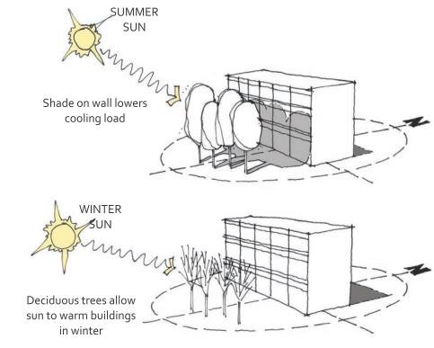 Using trees to shade a building facade