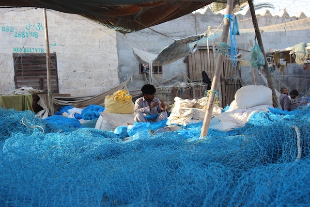 Illegal nets made of fine mesh end up trapping small, commercially unviable fish in massive quantities. Between 70 and 100 trucks, each loaded with 10,000 kg of trash fish, leave Karachi’s harbour each day. Credit: Zofeen Ebrahim/IPS