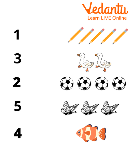 Count And Match Exercise For Kids