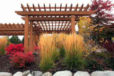 fall friendly greenery with pergola and native plants in Michigan outdoor living space