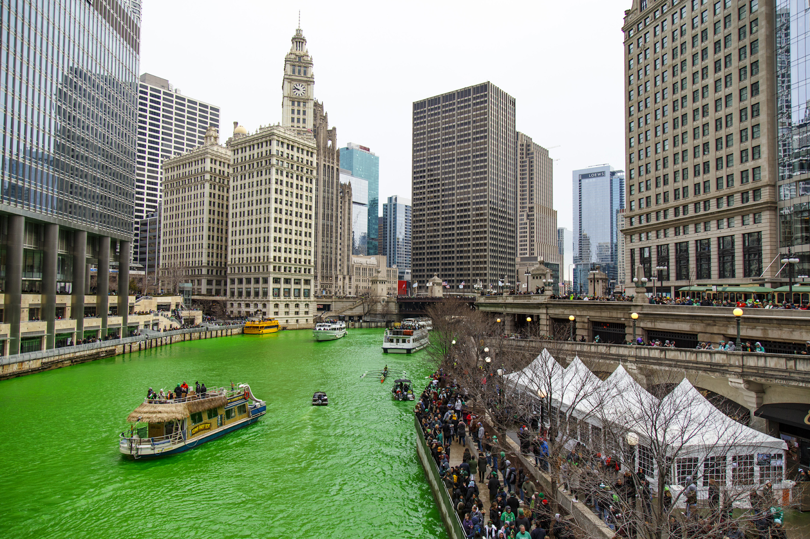 Chicago green river