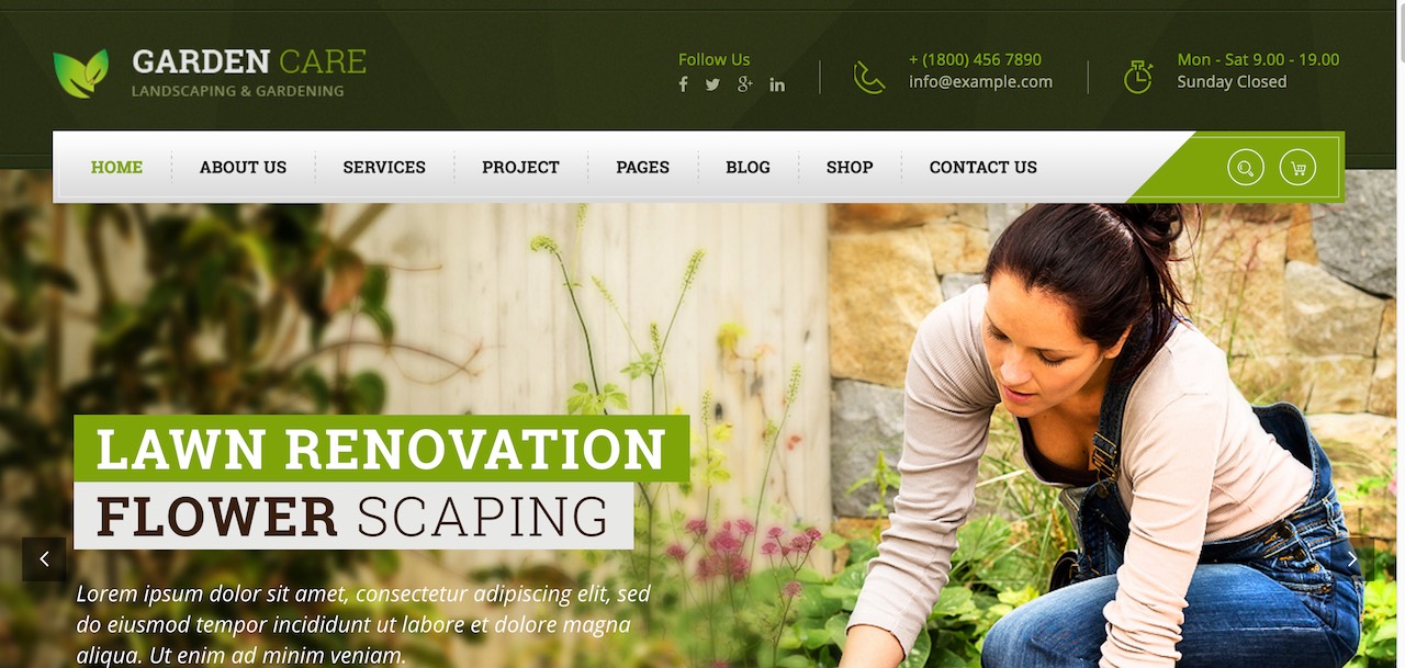 Diseño de sitio web de Garden Care