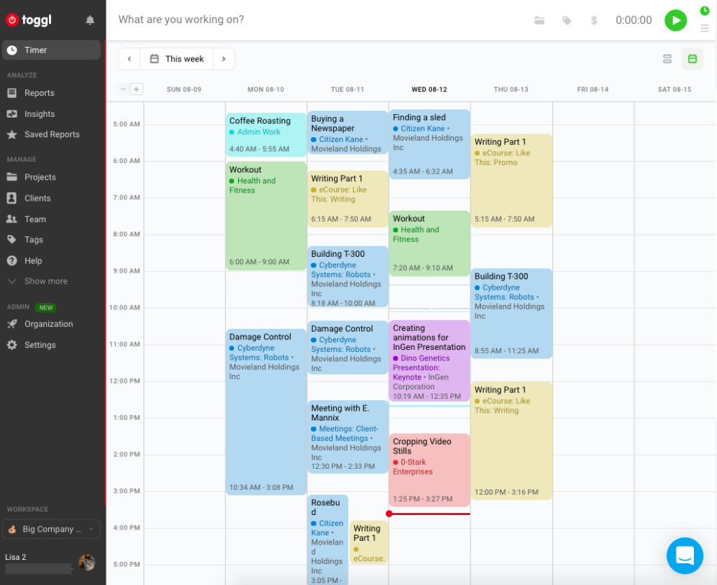 Calender View by Toggl
