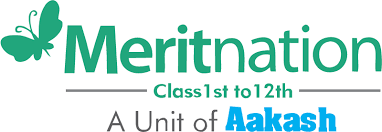 Meritnation logo