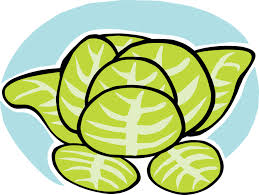 Image result for lettuce clipart
