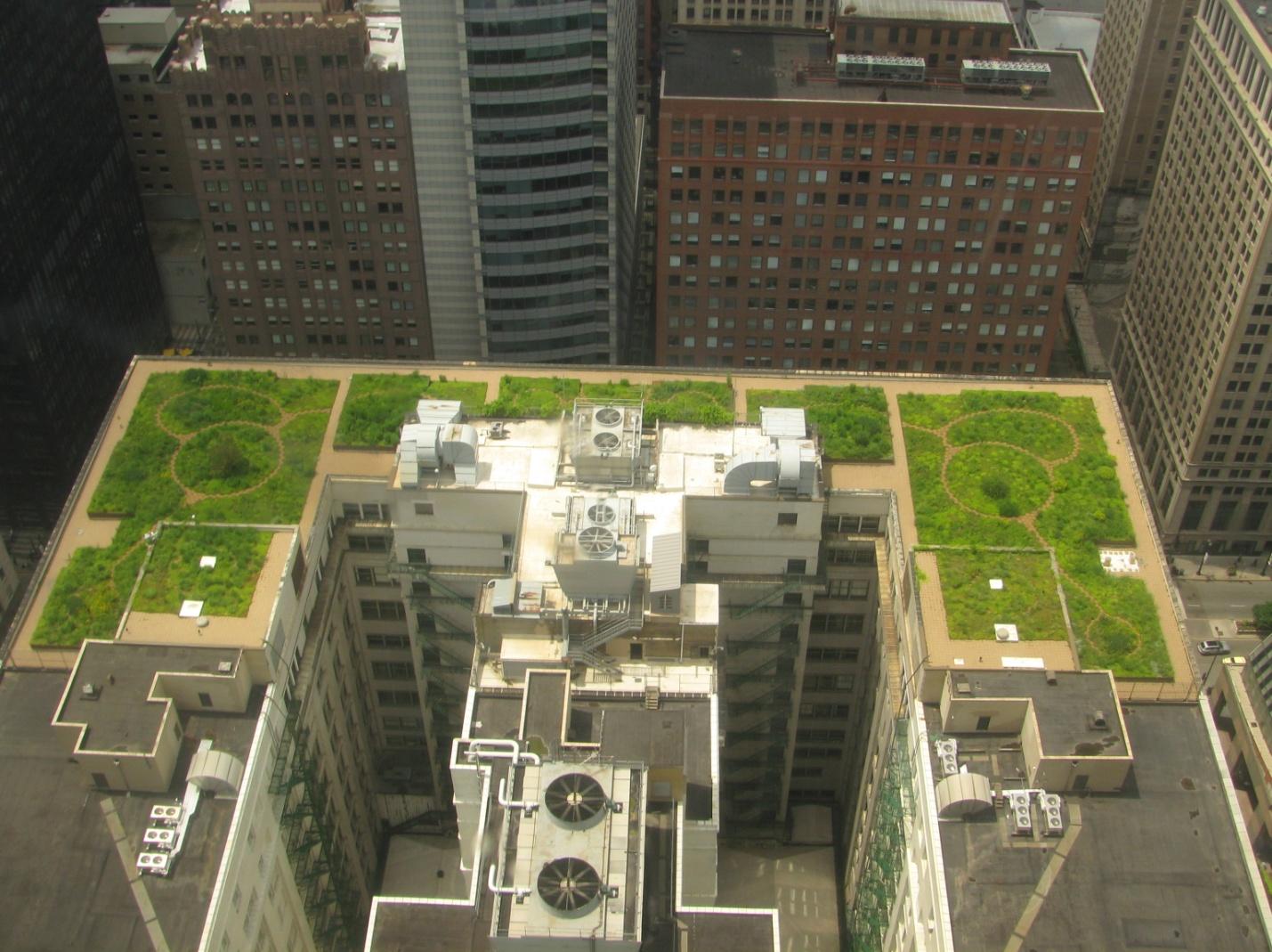 C:\Documents and Settings\Admin\Рабочий стол\20080708_Chicago_City_Hall_Green_Roof.JPG