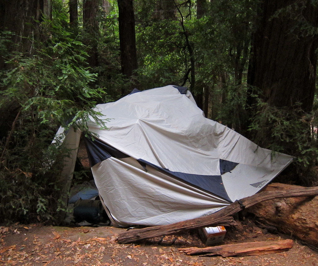 A camp site in the forest under the trees