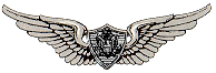 armycrew.gif