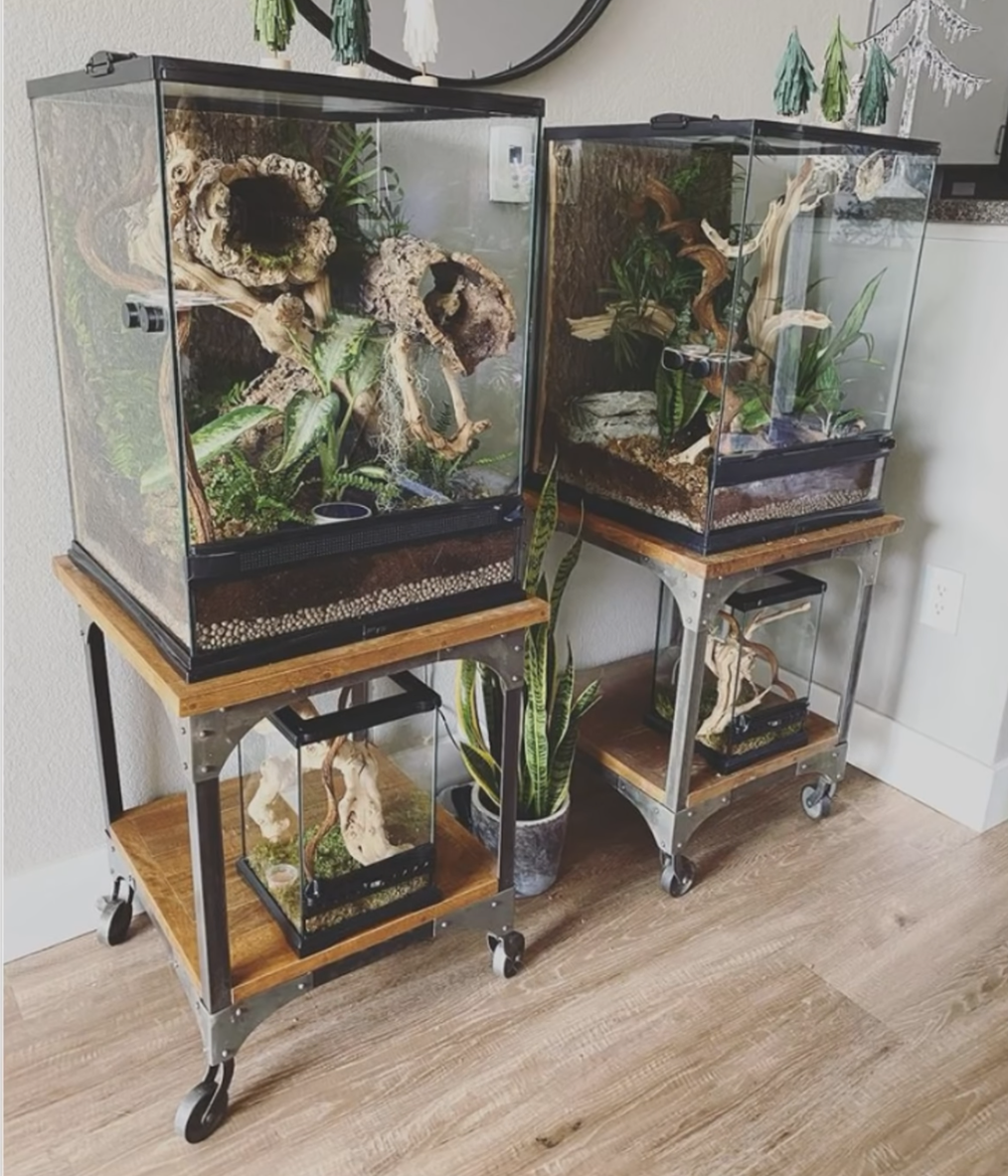 Terrariums on caster carts