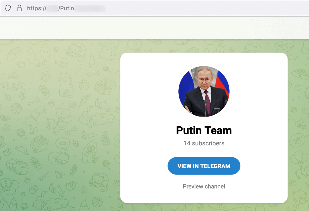 Figure 12. Putin ransomware’s Telegram channel