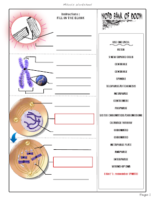 Mitosis Activities Mr Devereaux S Science Classes