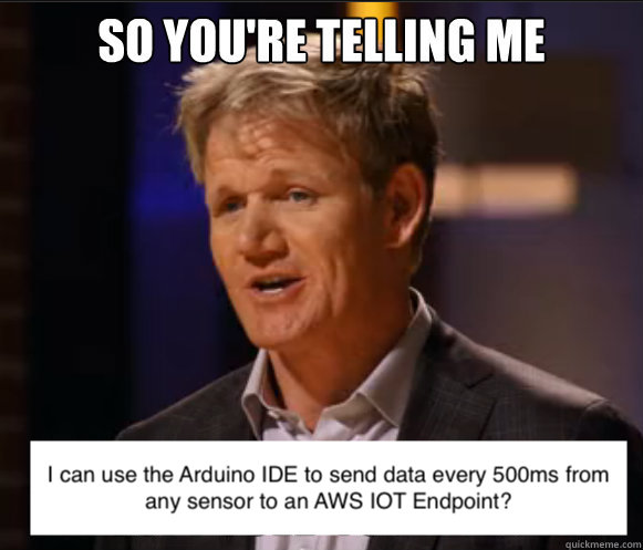 A meme portraying a picture of Gordan Ramsay speaking, with text "So you're telling me I can use the Arduino IDE to send data every 500ms from any sensor to an AWS IOT Endpoint?"