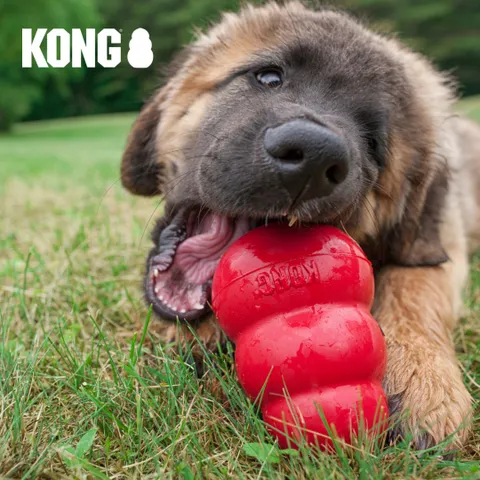 狗狗玩具-KONG