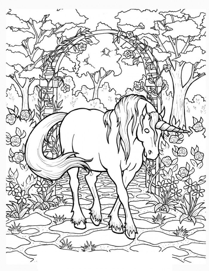 Horse Hard Coloring Pages