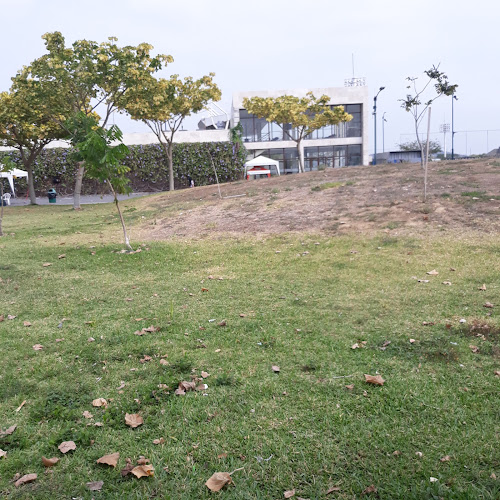 Opiniones de Parqueo Parque Samanes Zona De Camping en Guayaquil - Camping