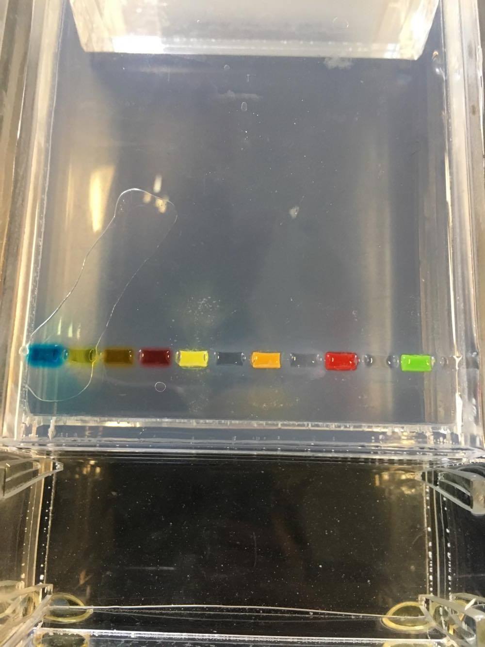 Just_dyes_bio_before_experiment.jpg