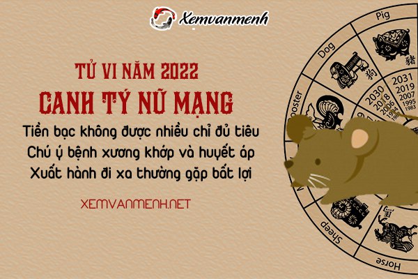 tu-vi-tuoi-canh-ty-nam-2022-nu-mang-1960